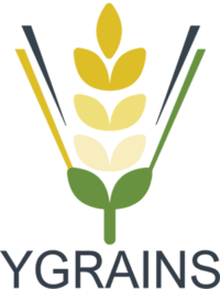 YGRAINS Logo